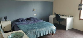 Le 135, logement spacieux entre ville et volcans